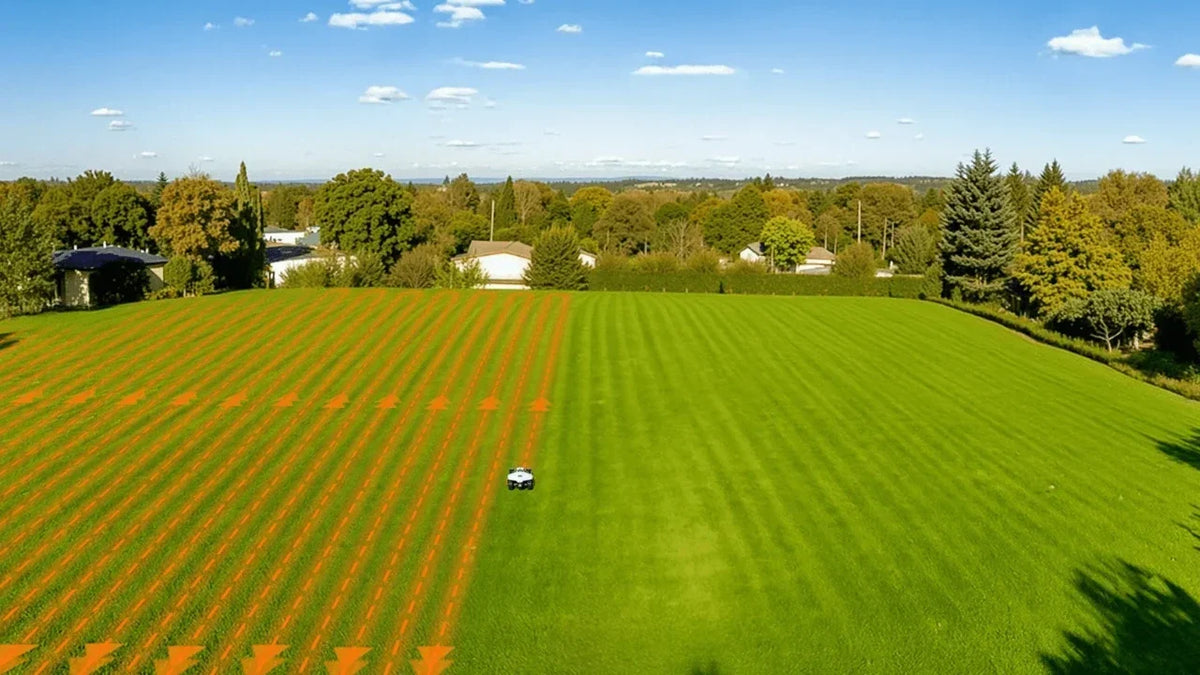 Best Robot Lawn Mower for 3000 ㎡