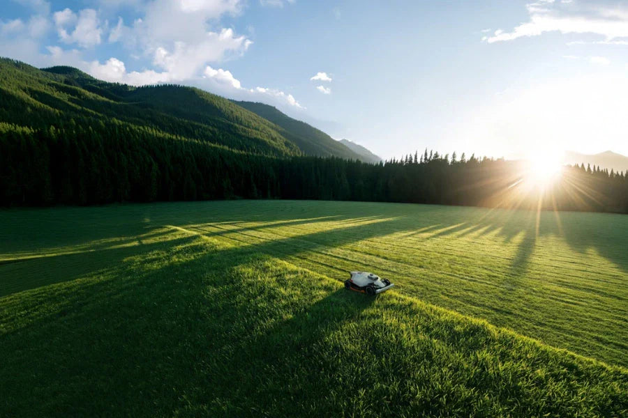 best robotic lawn mower for large lawns