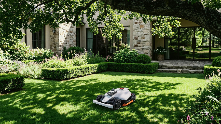 Under the tree