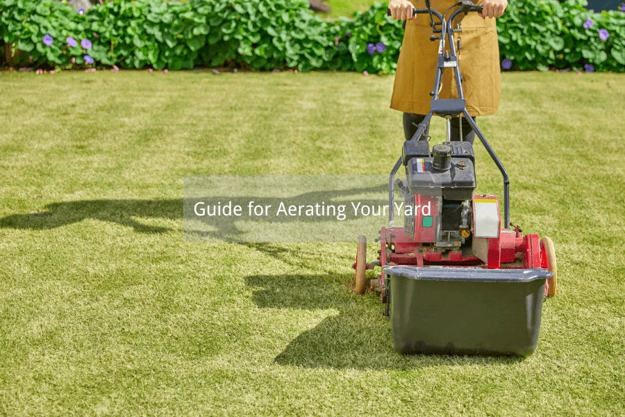 how to aerate lawn