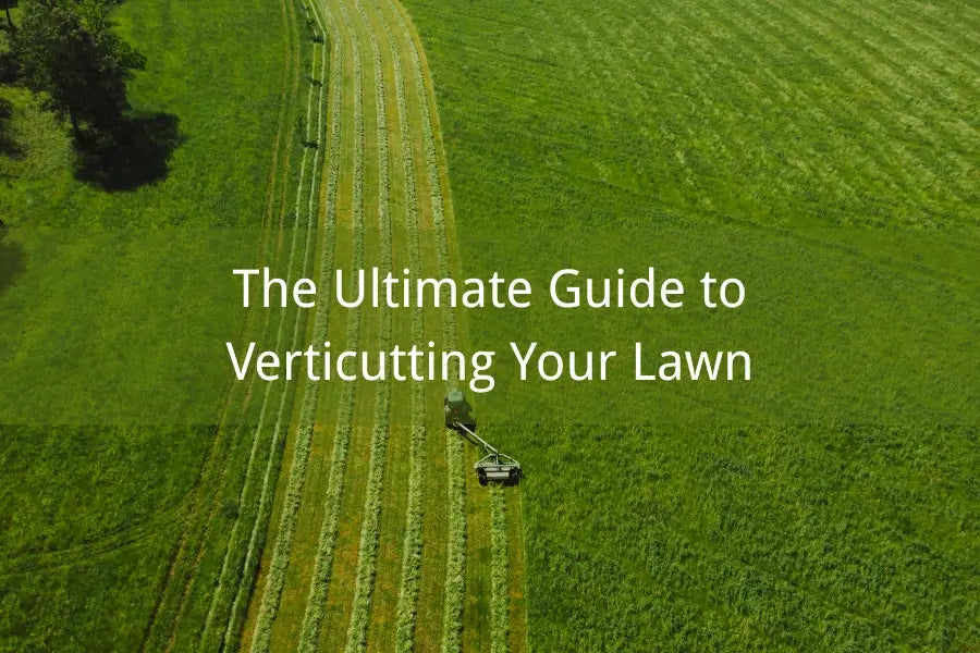 verticut lawn