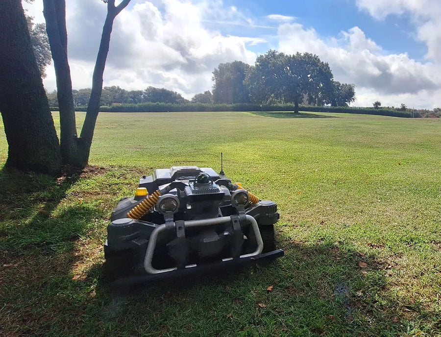 Maston at Club de Golf Montanyà