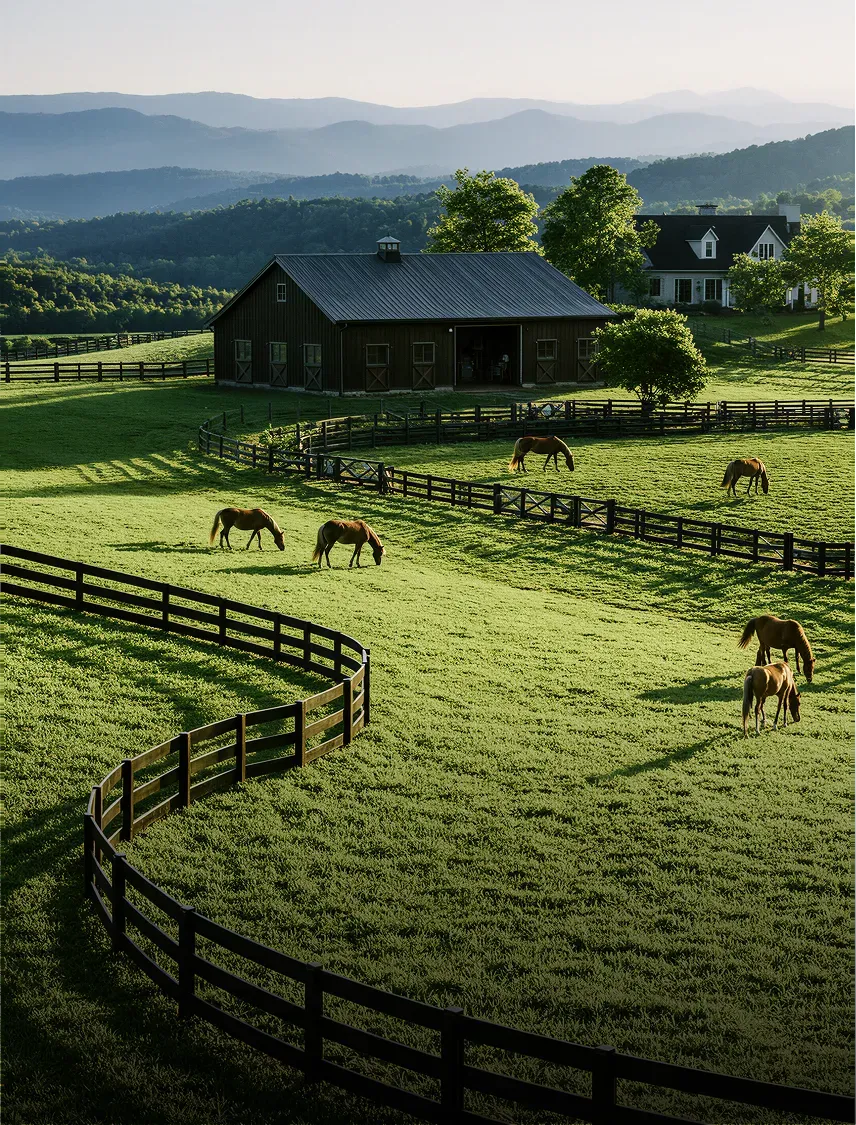 Horse farm pasture