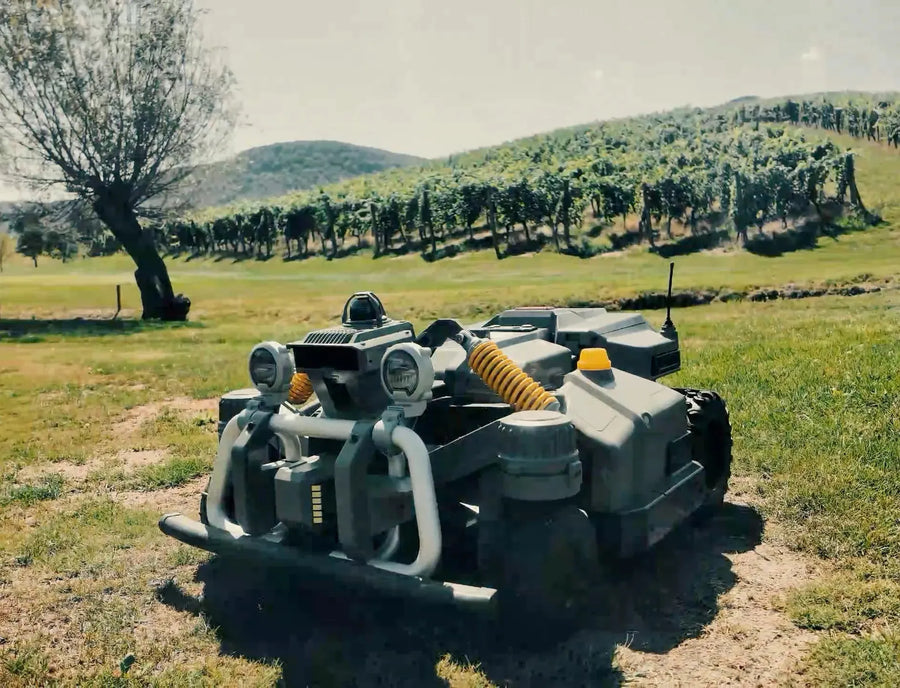 Maston on a green at Golf Zlati Grič with vineyards behind