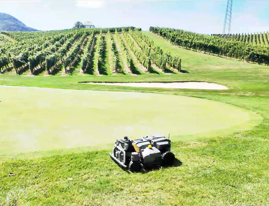 Maston on a green at Golf Zlati Grič with vineyards behind